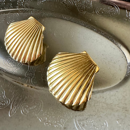 Shell Earrings