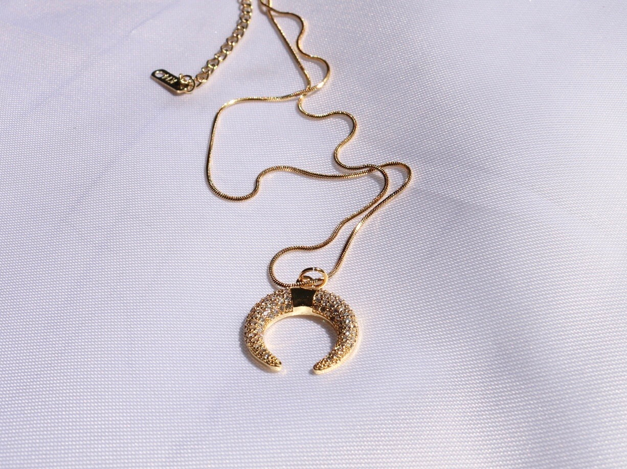 Horn Necklace