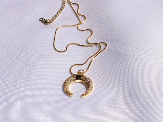 Horn Necklace